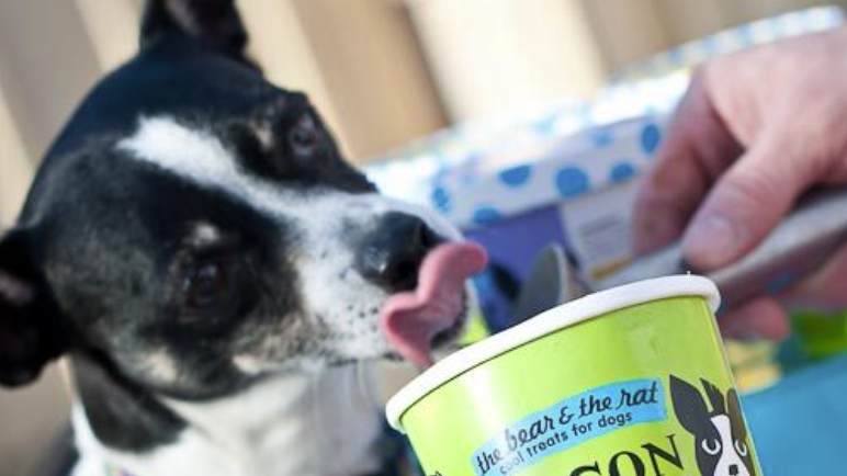How this Boulder maker of ice cream for dogs landed its products in