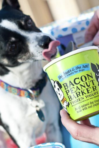 ice cream for dogs landed 