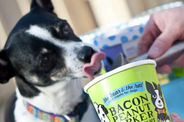 whole foods dog treats