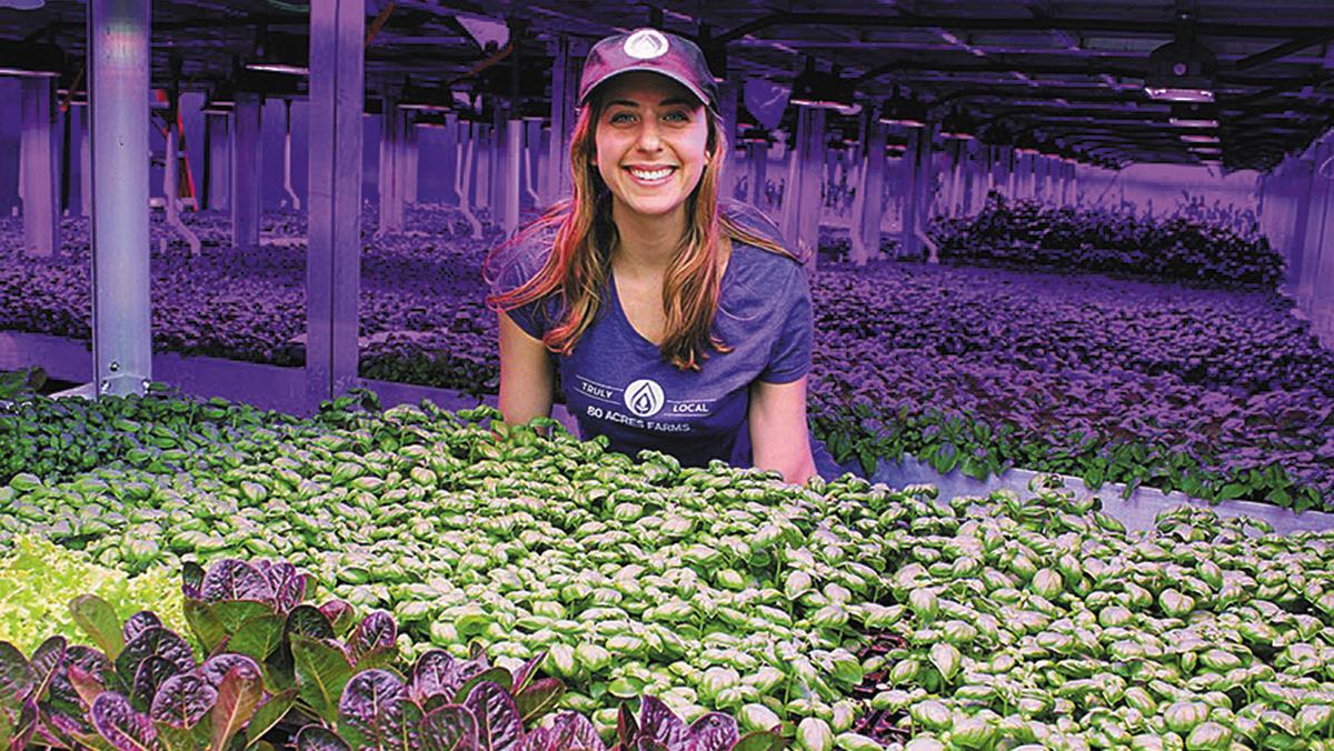 80 Acres Farms moves HQ to Hamilton, plans 125 jobs Cincinnati