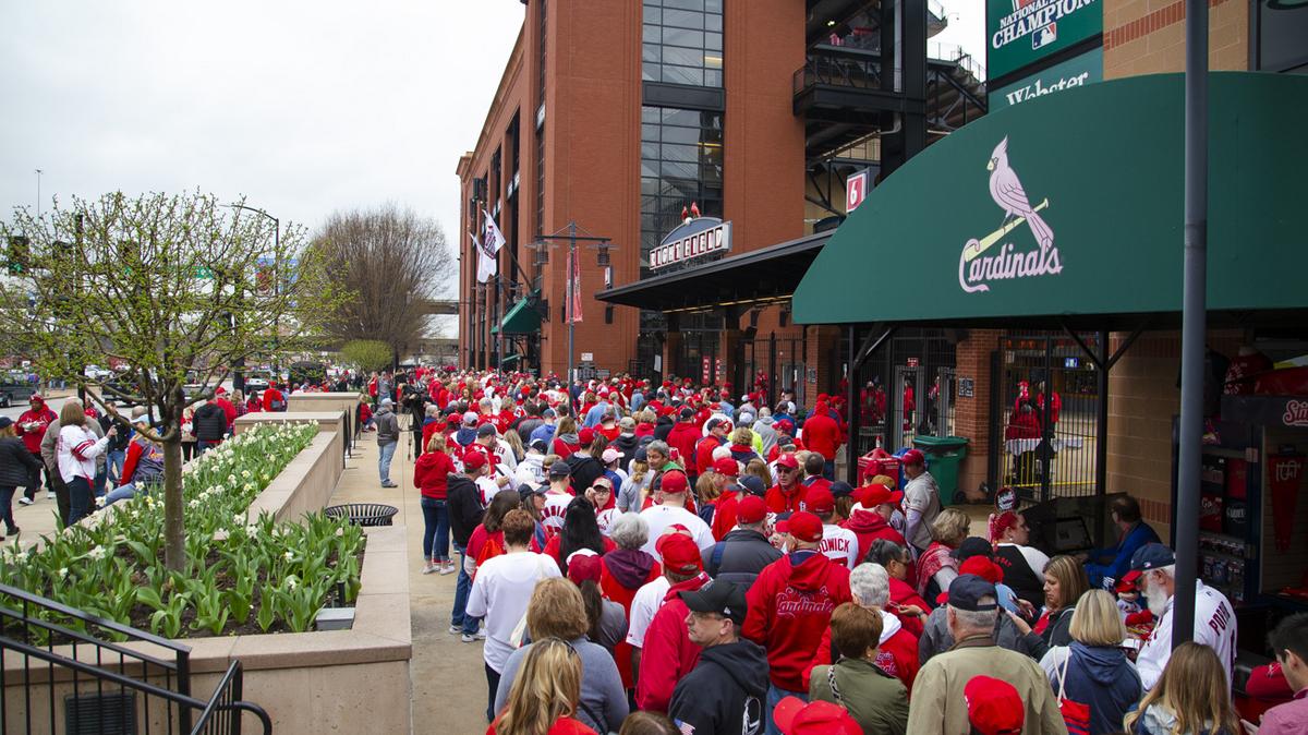 The perfect storm': How the Cardinals attracted 3 million-plus fans in 2022  - St. Louis Business Journal