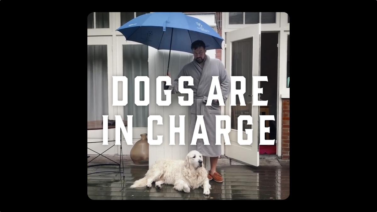 merrick-pet-care-ad-campaign-conveys-undeniable-truth-about-dogs