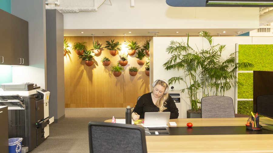 Segment office