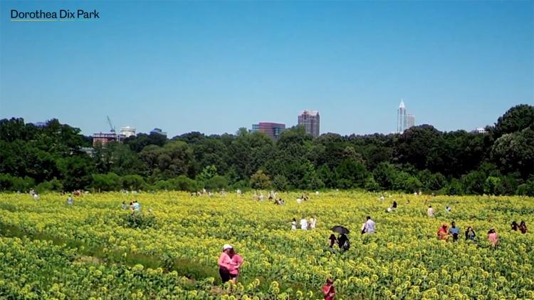 Why Developers Are Flocking To Dix Park In Raleigh A New Focal Point For Growth In The City Triangle Business Journal Why Developers Are Flocking To Dix Park In Raleigh A New Focal Point For Growth In The City Triangle Business Journal