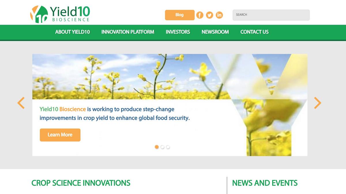 yield10