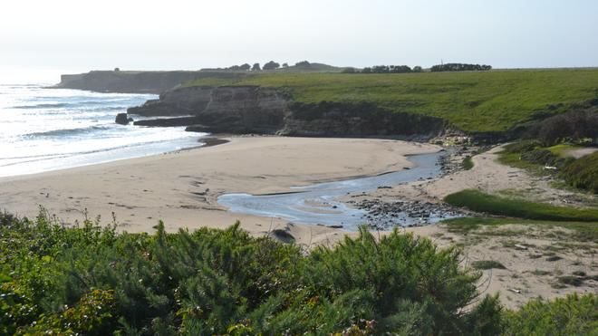 Red, White, and Blue Beach: A Guide to Santa Cruz, California