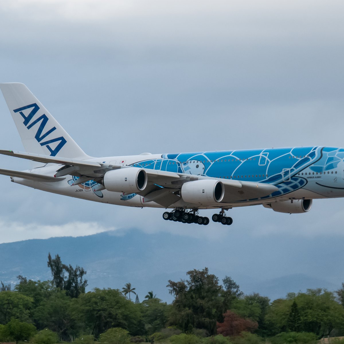 First All Nippon Airways A380 'Flying Honu' plane lands at 
