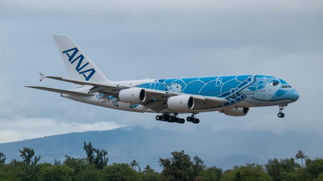 航空機・ヘリコプター ANA FLYING HONU 1st FLIGHT ja381a-4r-041719*660xx3600-