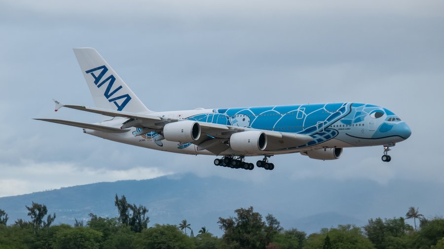 First All Nippon Airways A380 'Flying Honu' plane lands at 