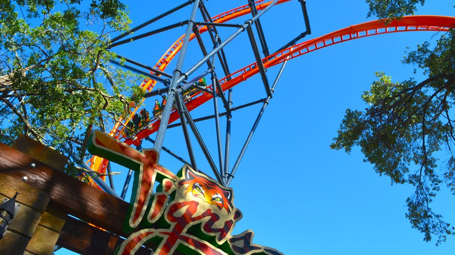 Tigris POV On Ride - Busch Gardens Tampa - Front & Backwards 