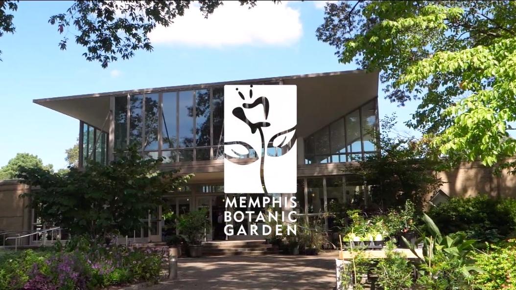 Memphis Botanic Garden S Capital Campaign Kicks Off Memphis