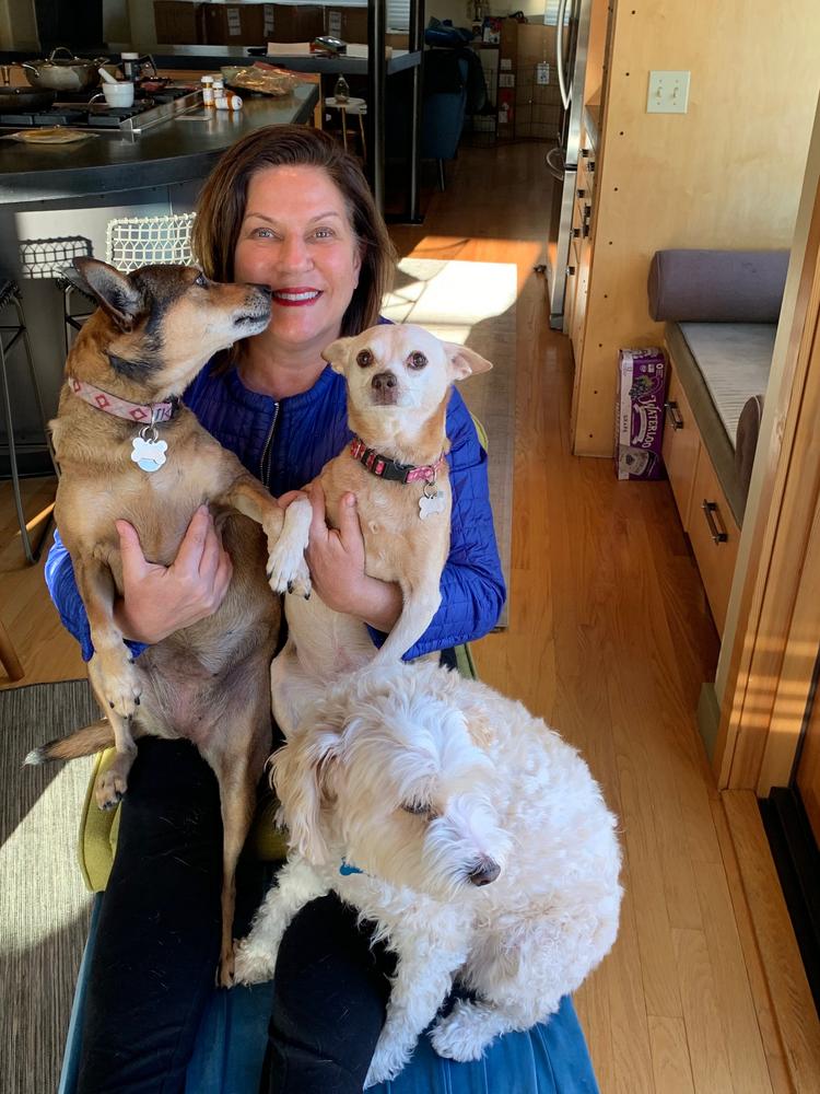 Patti Payne: From Nintendo to dog rescue - Puget Sound Business Journal