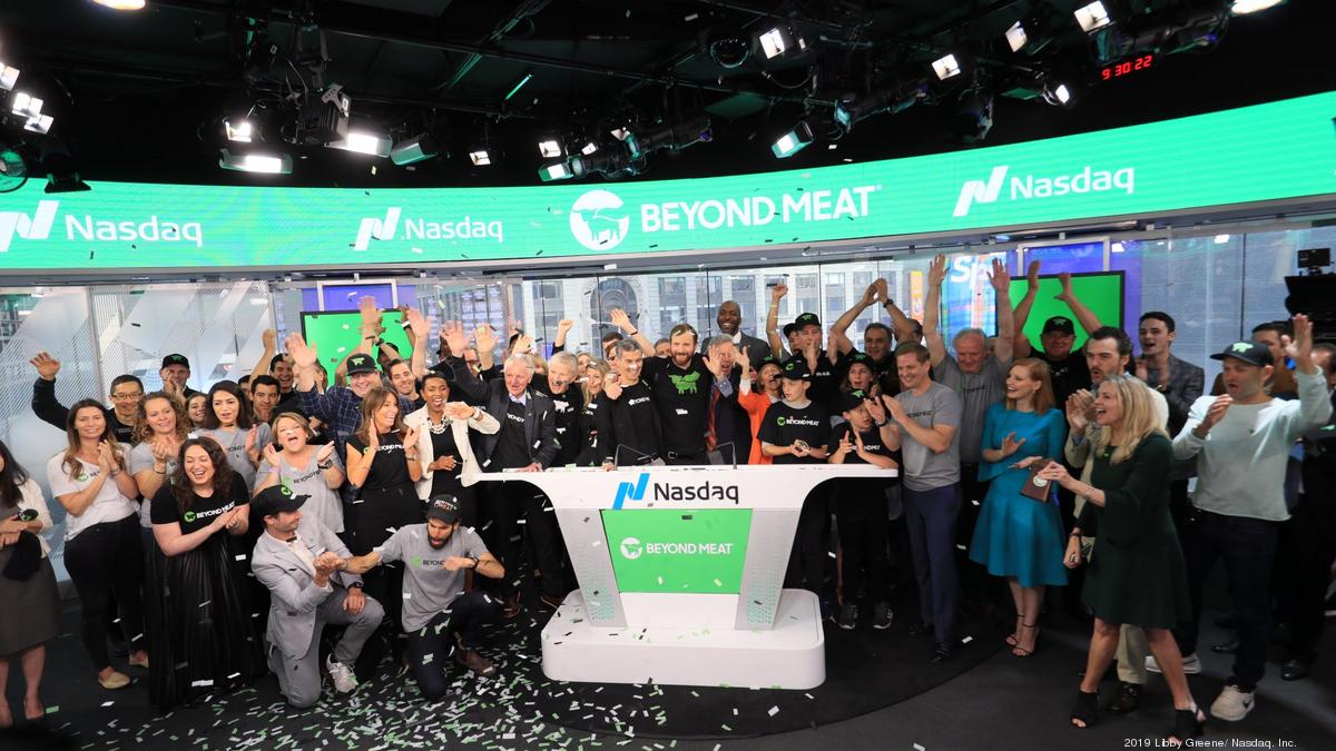 Ipo how much goes public