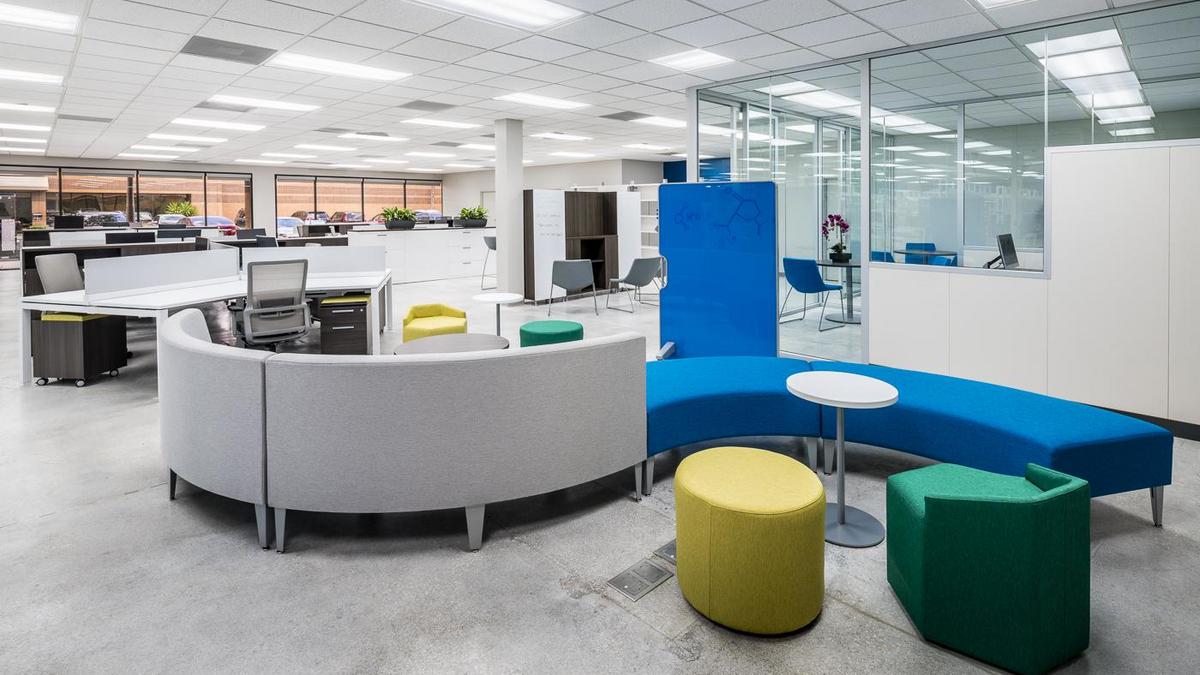 Morphogenesis creates interactive workspaces - Tampa Bay Business Journal