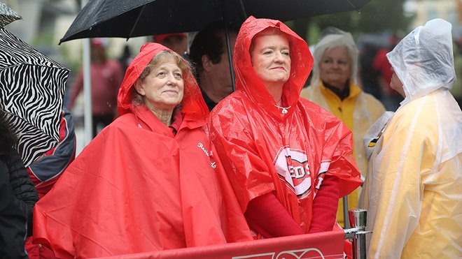 Cincinnati Reds Stadium Rain Ponchos 