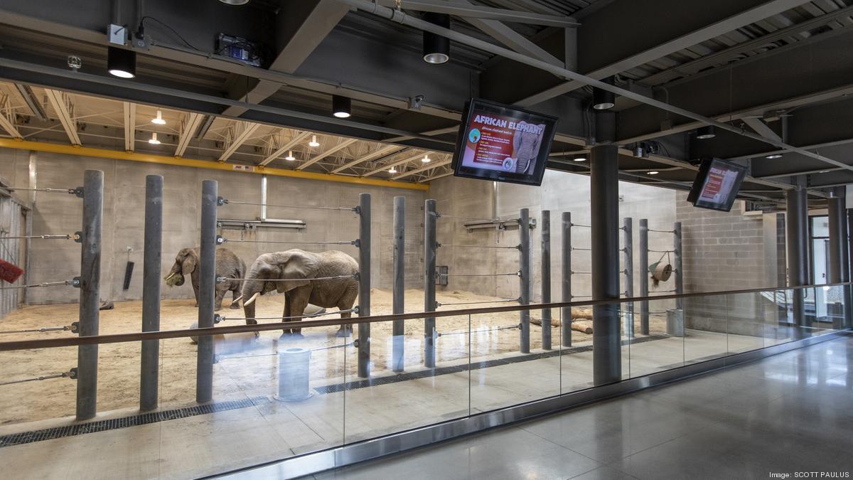 Milwaukee County Zoo's new elephant exhibit opens to public Milwaukee