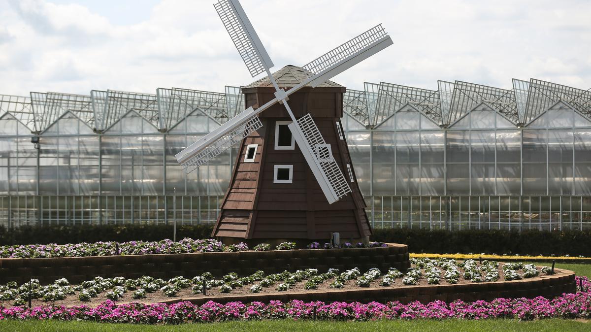 Walmart executives, NC Lt. Gov. tour Huntersville's Metrolina