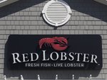 Red Lobster 20190419