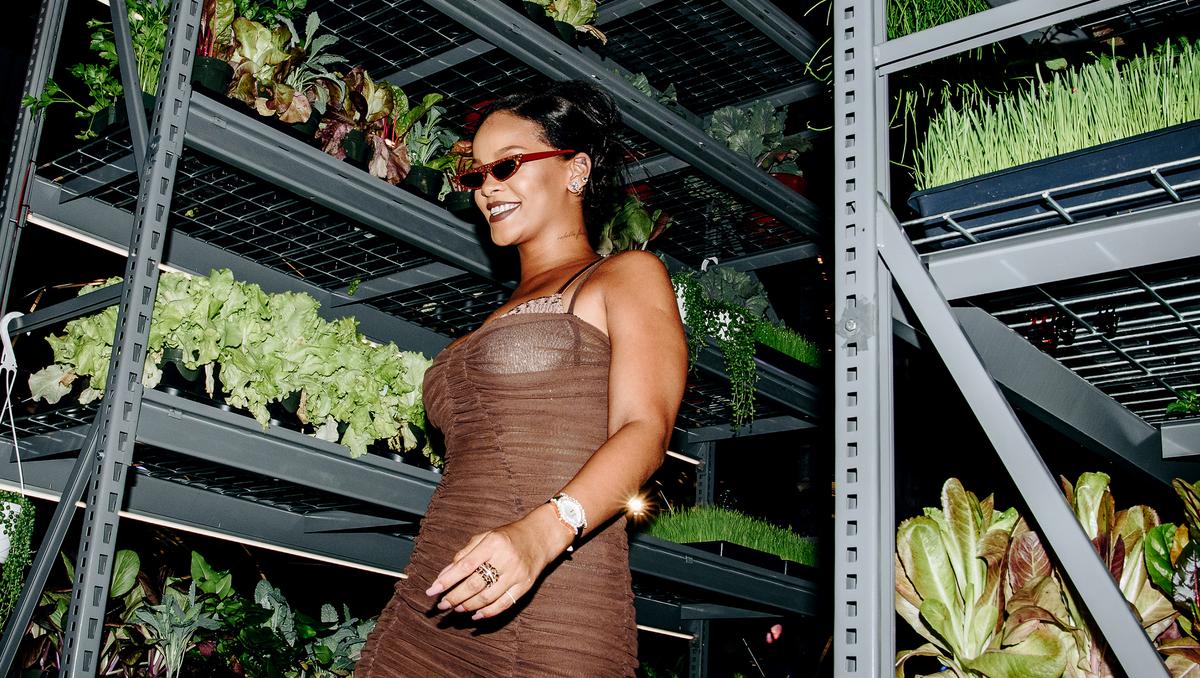 Rihanna's Savage X Fenty lingerie brand opening more stores - Bizwomen