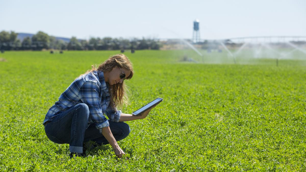 How tech-fluent talent is accelerating change at America’s private ...