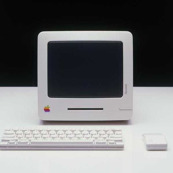 apple-snow-white600x600px.jpg