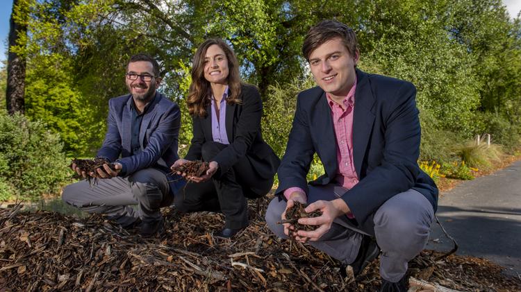 Image result for After contest win, Davis company will start producing animal feed from insects
