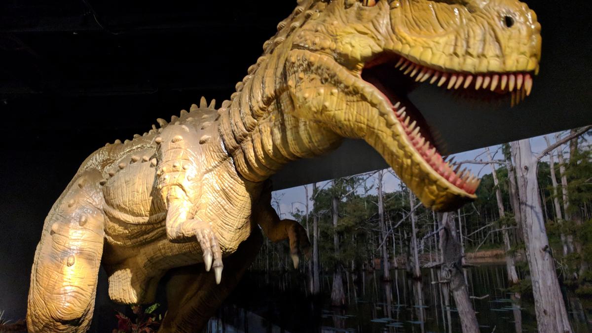 French art, dinosaurs and more Jacksonville cultural institutions