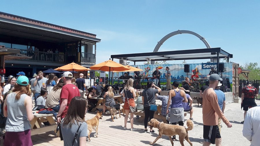 PETS+ names KC's Bar K as America's 'coolest' pet business Kansas