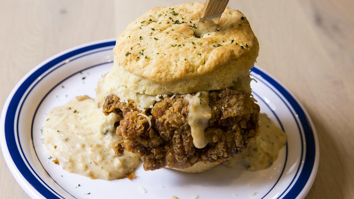 biscuit belly prices biscuit belly prices