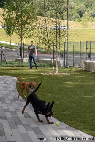 Mars dog clearance food plant