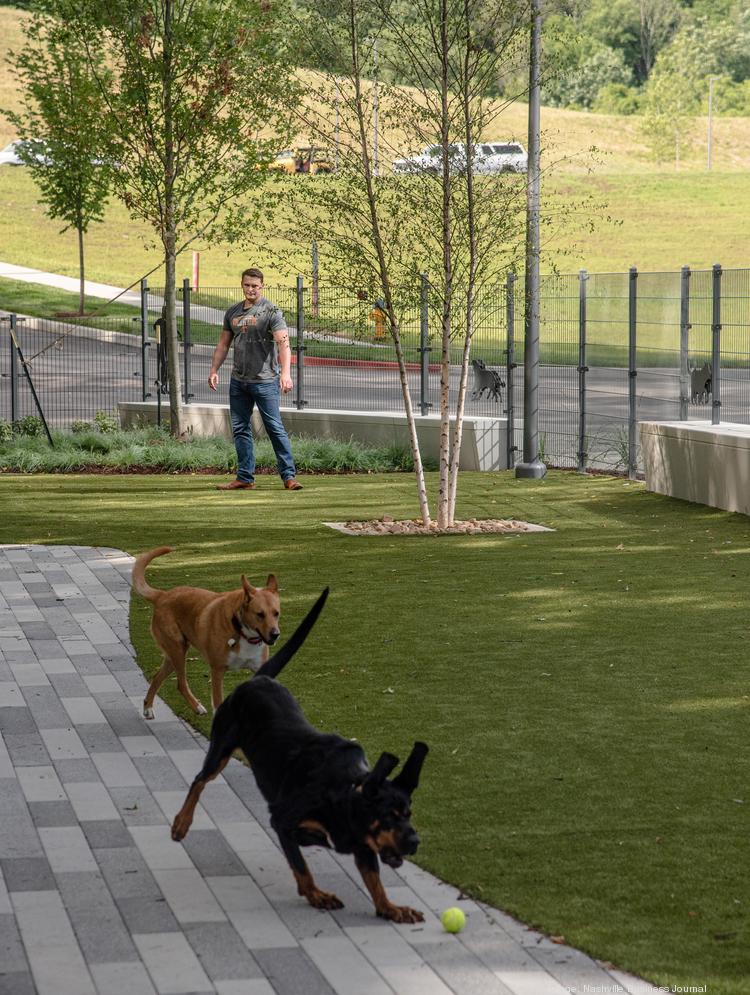 are dogs allowed in lebanon sports complex