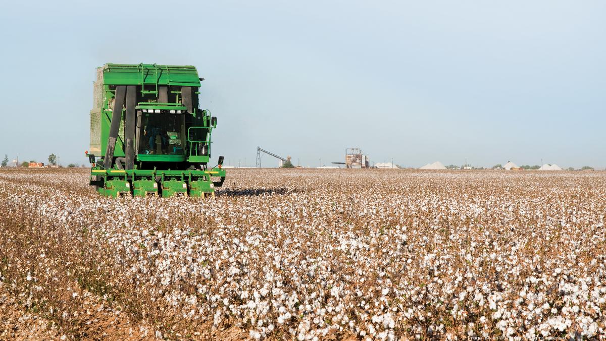 MonroeUnion County Agribusiness is all green for Union County Charlotte Business Journal