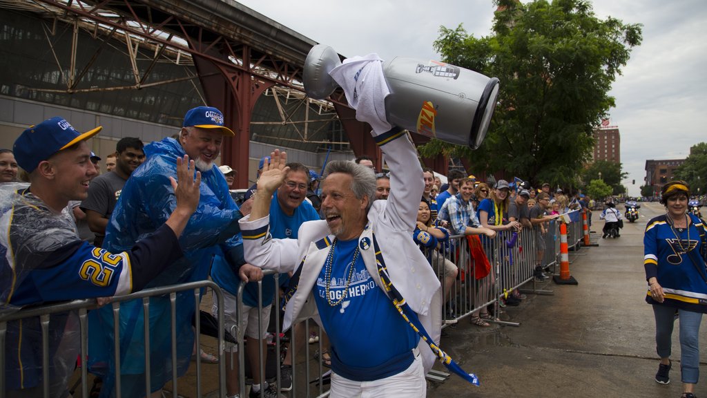 Inside the Blues' plan to capitalize on the Stanley Cup title - St. Louis  Business Journal