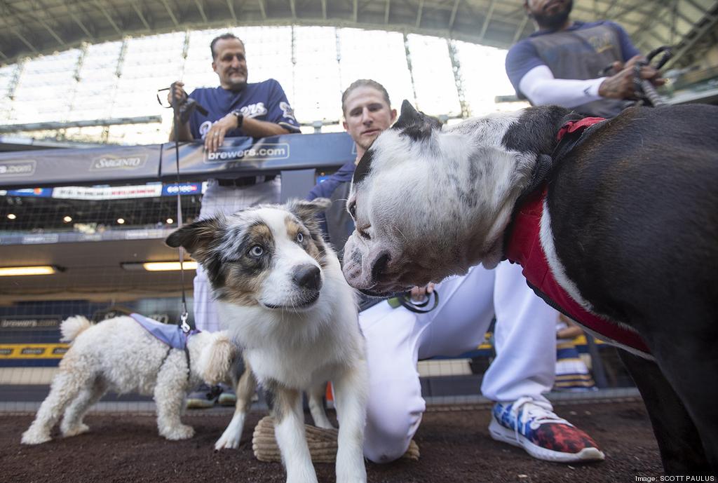 Dog days for Brewers fans