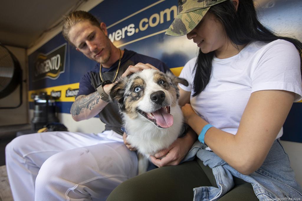 Brewers are letting the dogs out for Miller Park's first ever Bark at the  Park event