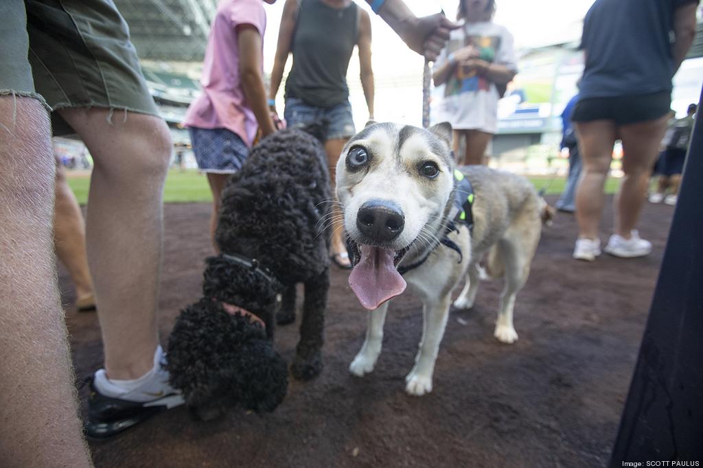 Dog days for Brewers fans