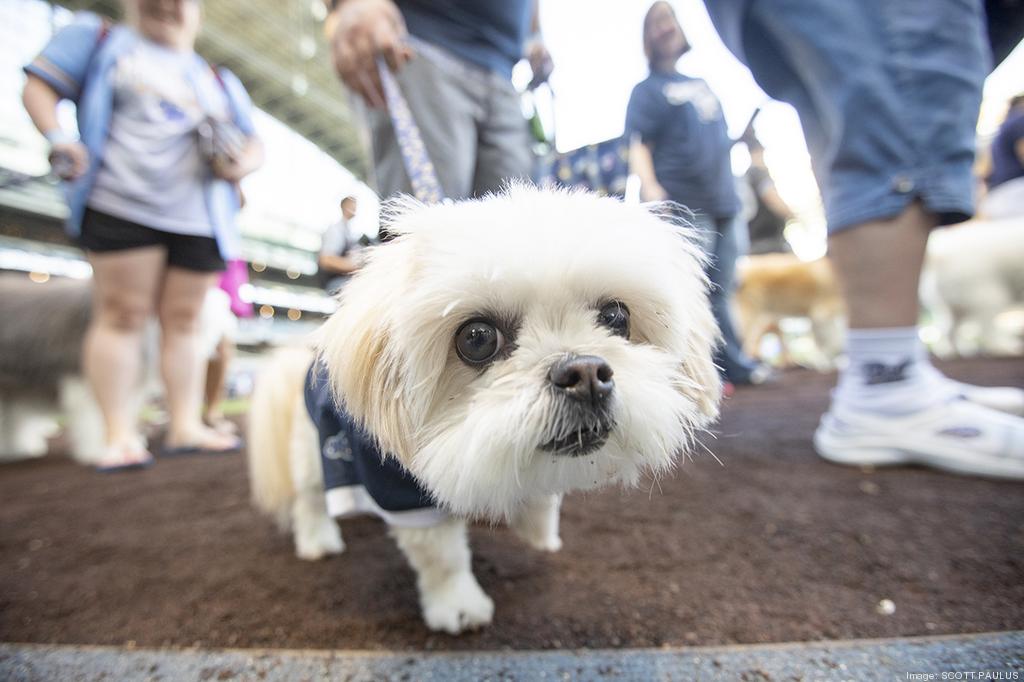 Brewers' Pup Enjoys New Digs