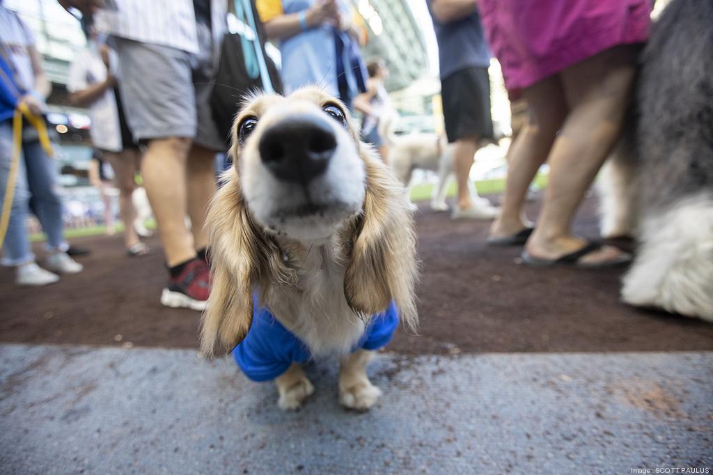 Dog days for Brewers fans