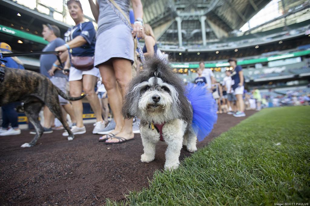 Brewers are letting the dogs out for Miller Park's first ever Bark at the  Park event