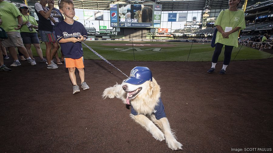 Scenes from Miller Park as dogs join the crowd Slideshow Milwaukee