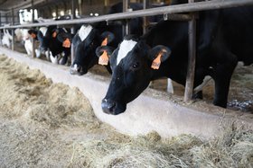 Family farm expands with $1.3M purchase of 187 acres