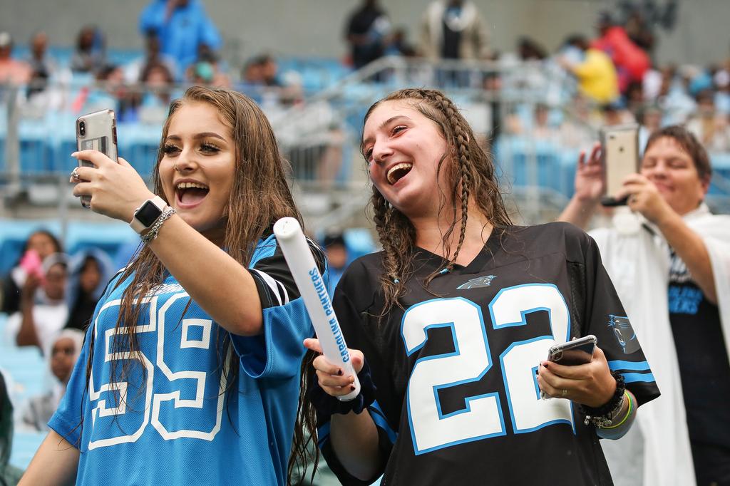 carolina panthers fan box