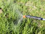 Getty Images Spraying herbicide