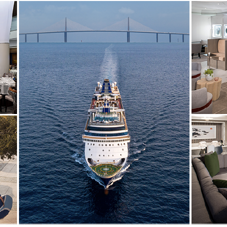 Celebrity Cruises From Tampa 2024 60 Photos - Moonagedaydream.film