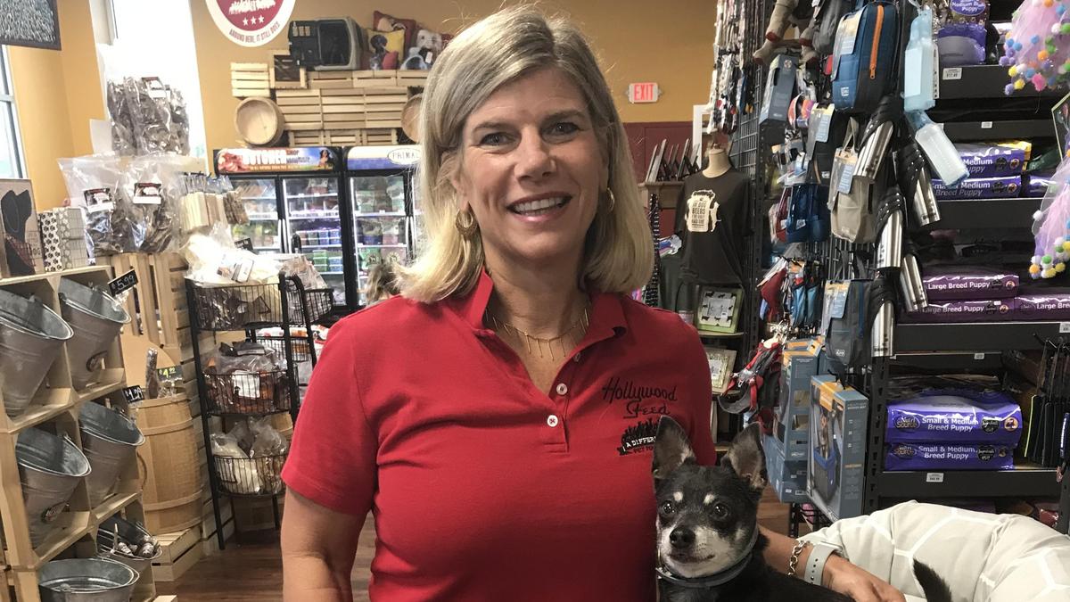 hollywood pets store