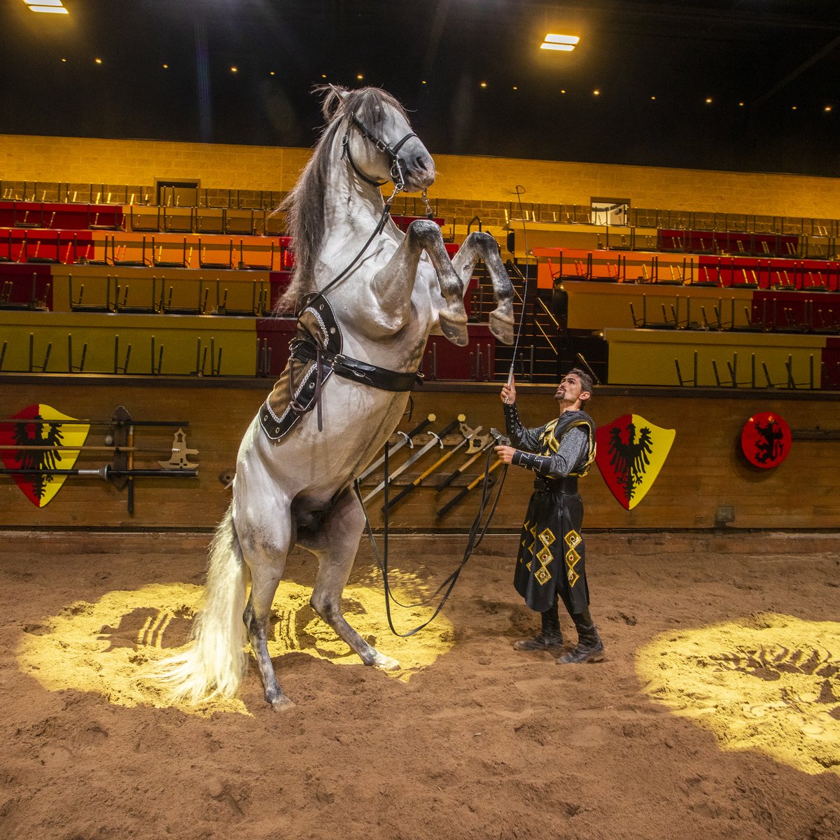 medievaltimes17*1200xx3648-