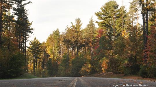 luther forest road and trees 10 4 2013