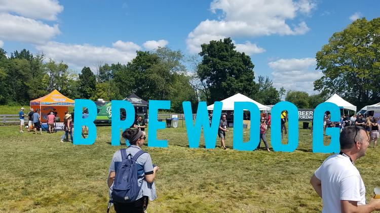 brewdog-agm-2019-1-dje*750xx4032-2268-0-