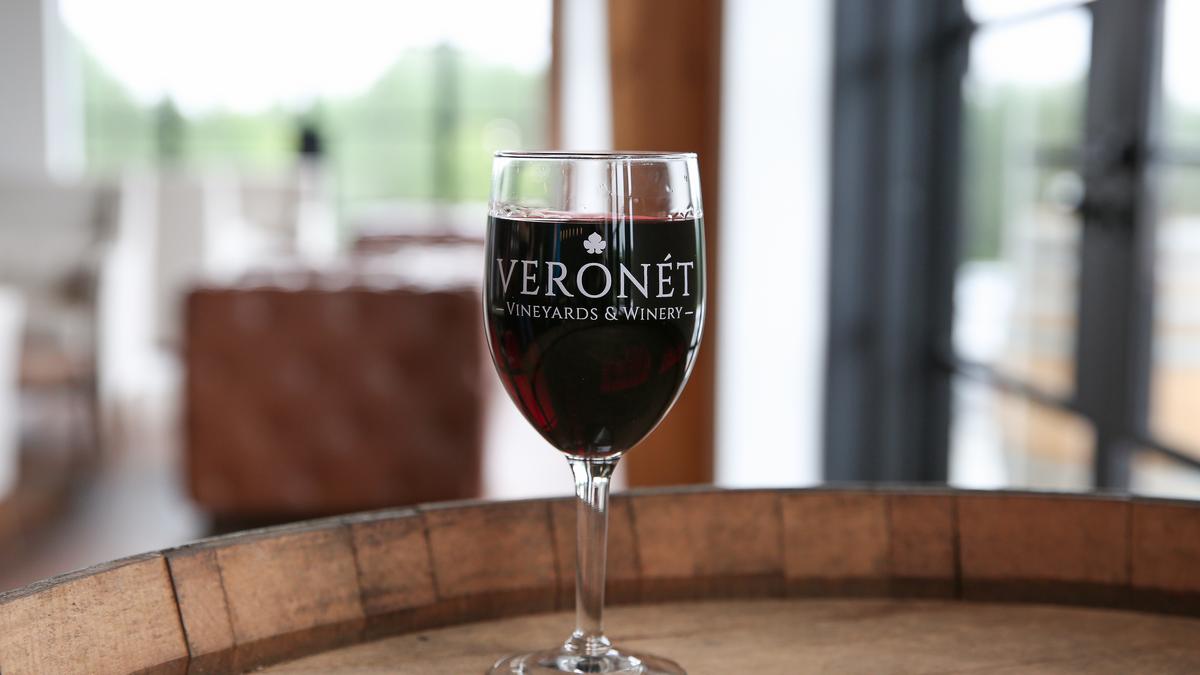 Vineyards & Winery nears opening in Kings Mountain Charlotte