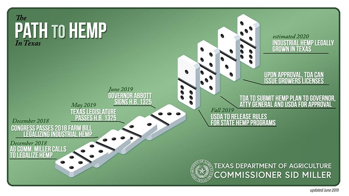 What to know about Texas' new crop of laws on beer, hemp, home sales